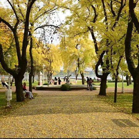 Buba * Palić